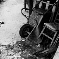 /album/eco-natura/img-0969-6-jpg/